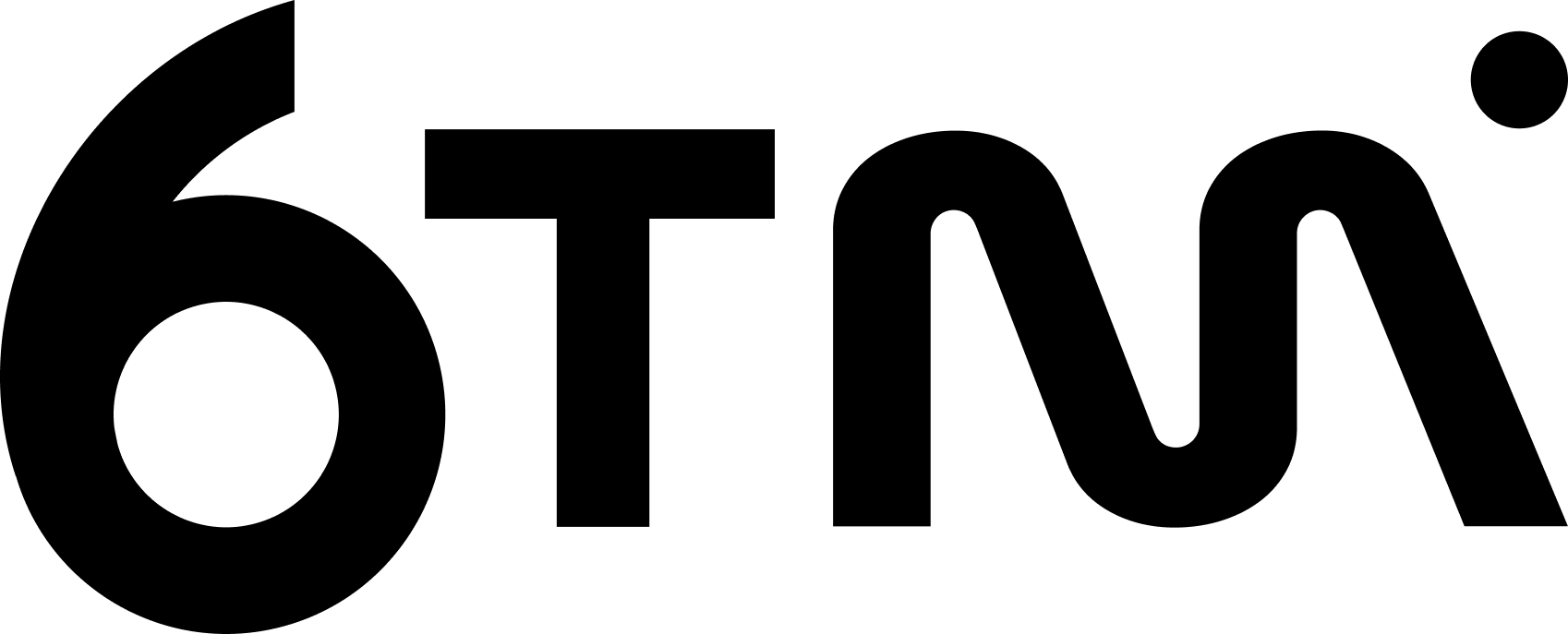 6TM